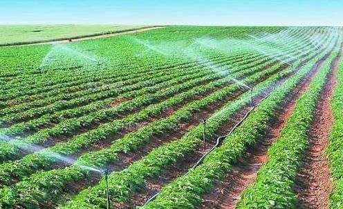 鸡巴美女网站农田高 效节水灌溉